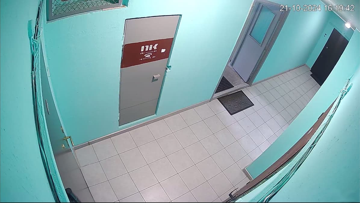 Камера в квартирном холле